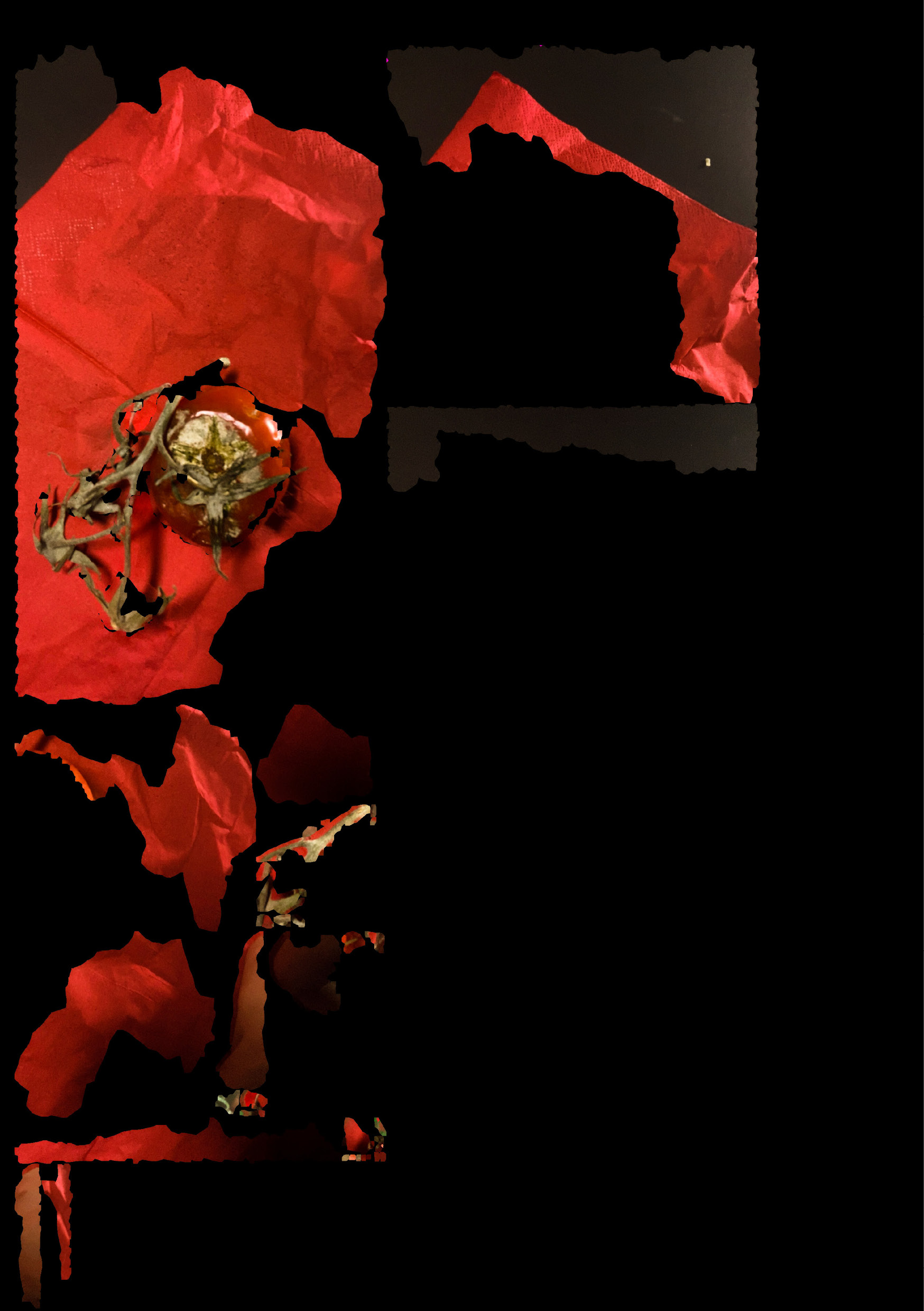 Description of image 2