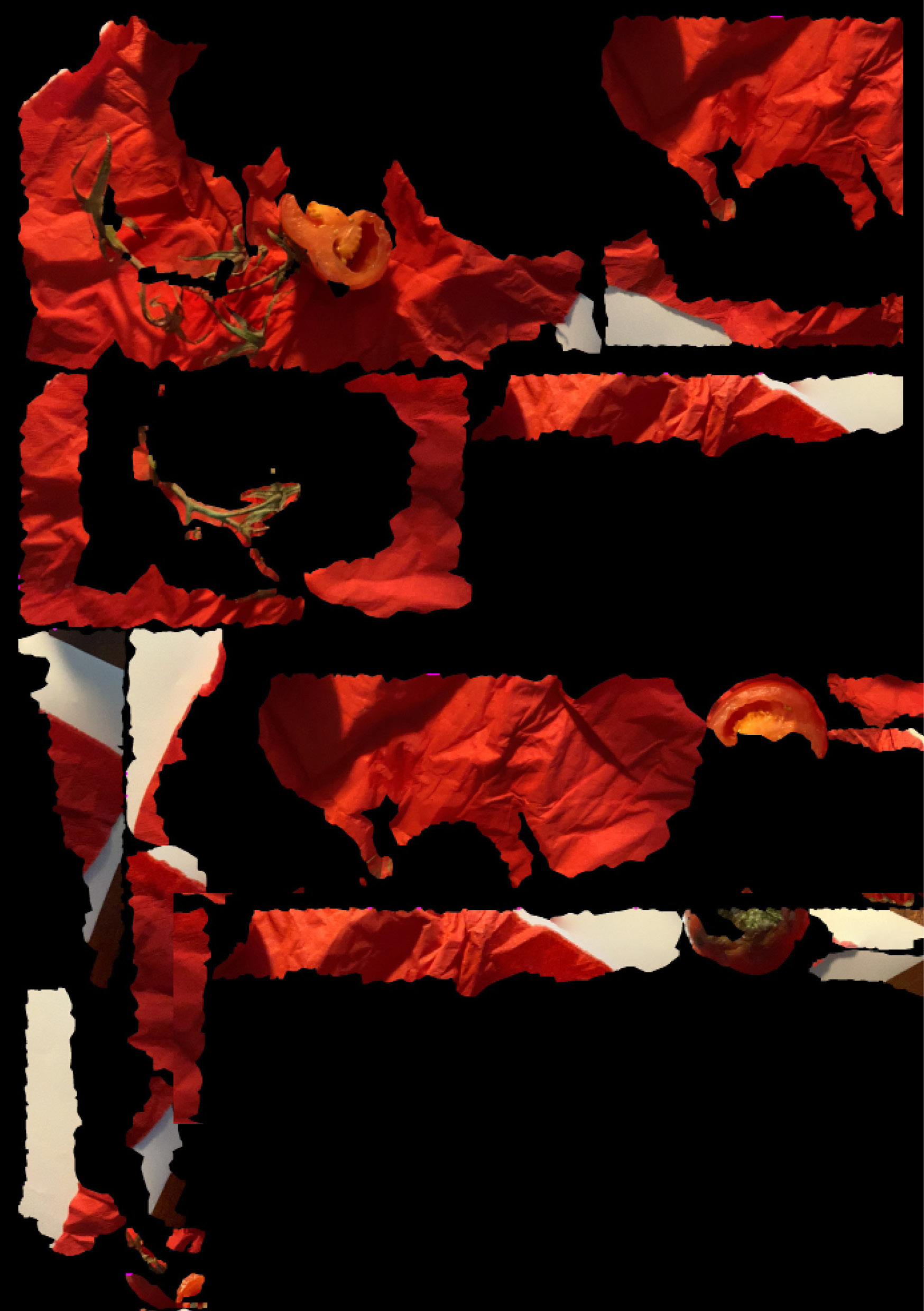 Description of image 2