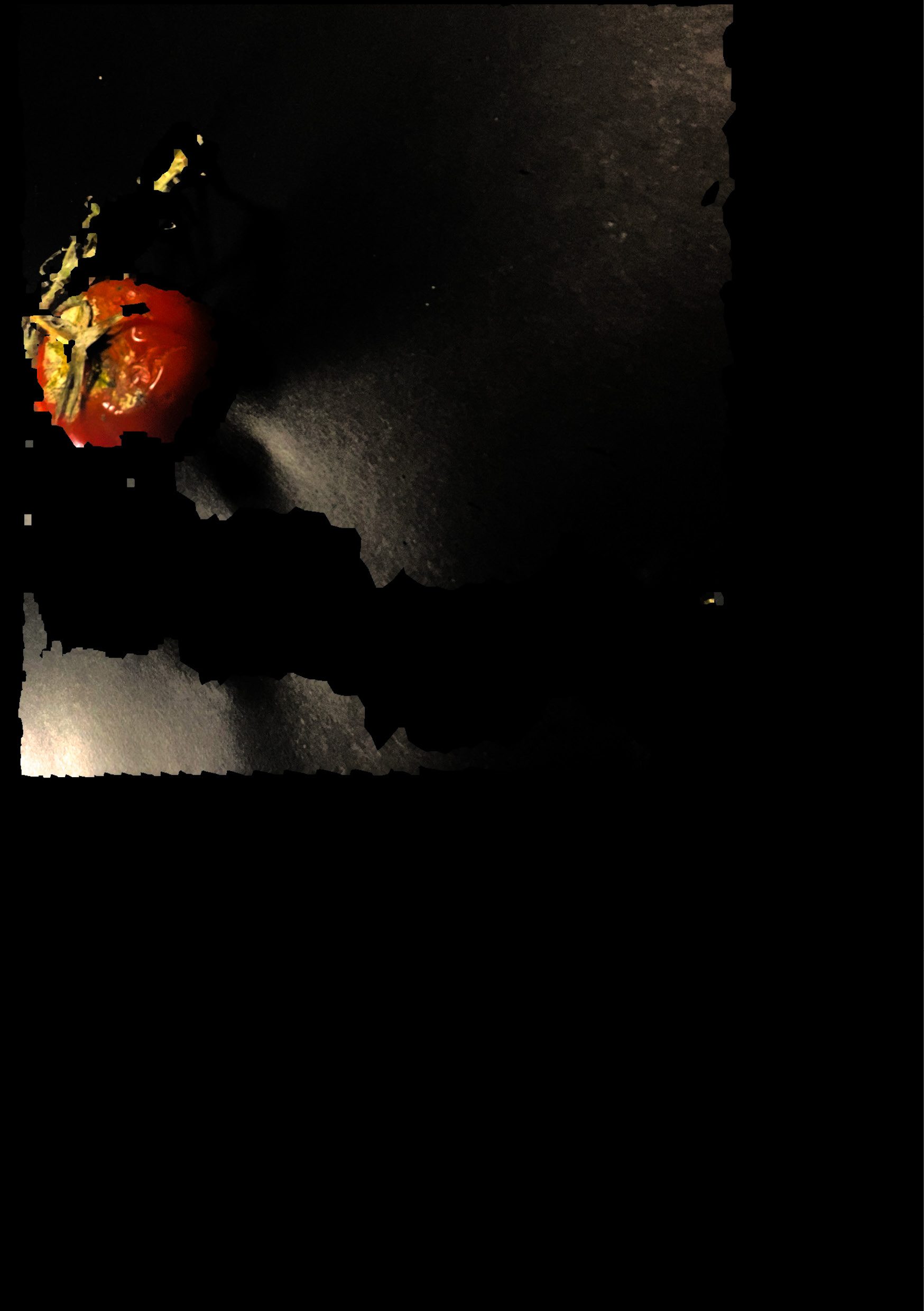 Description of image 2