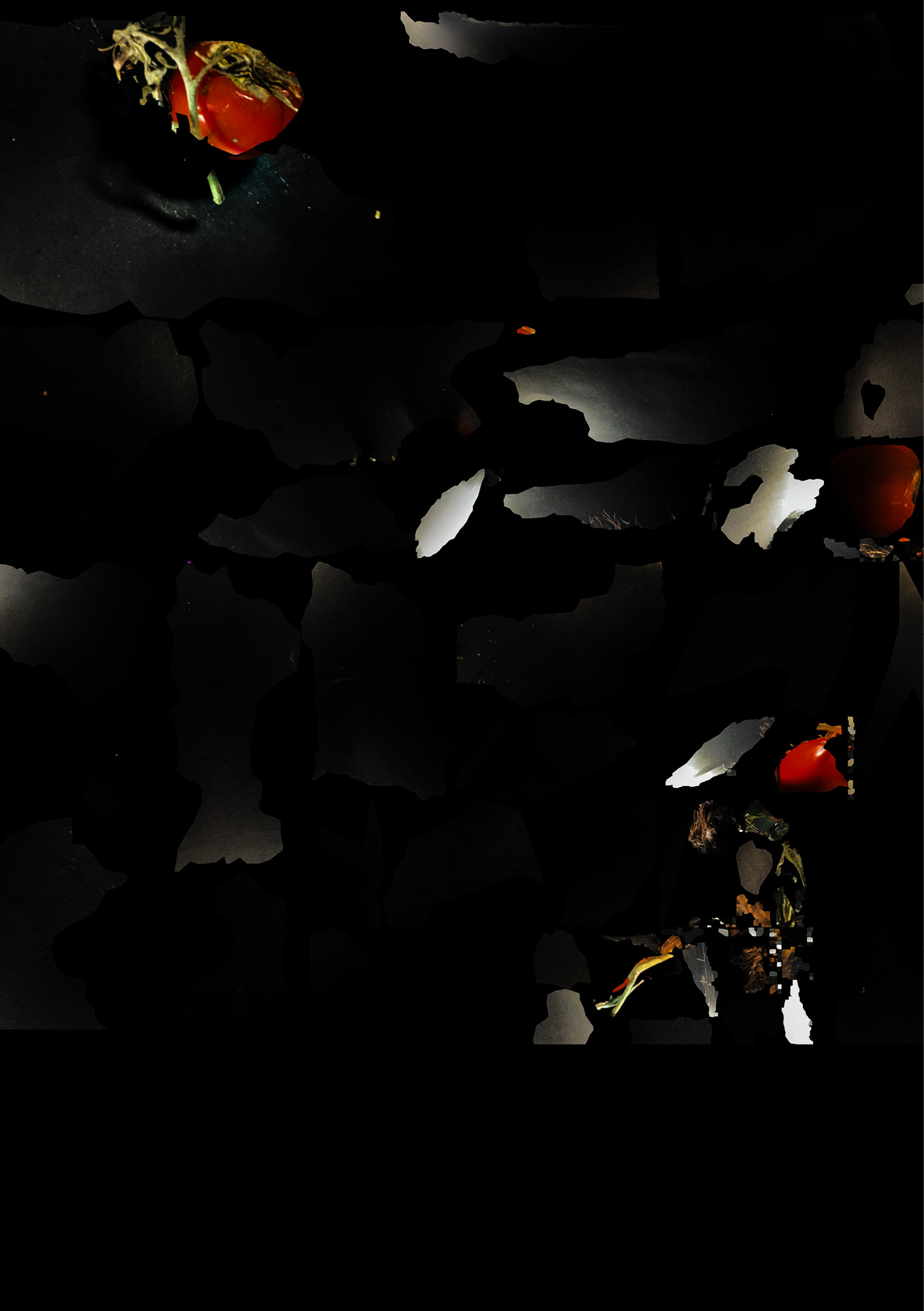 Description of image 2