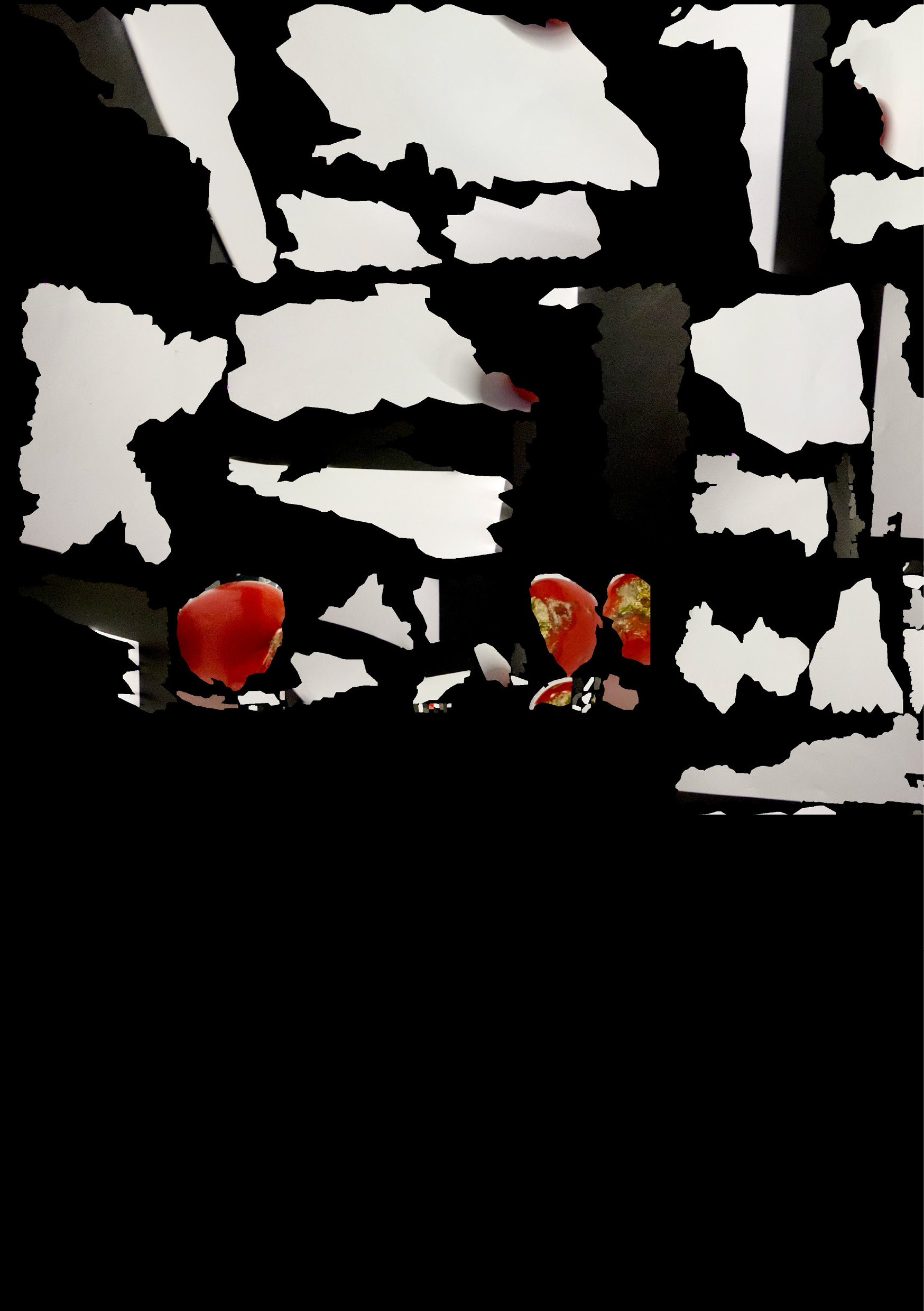 Description of image 2