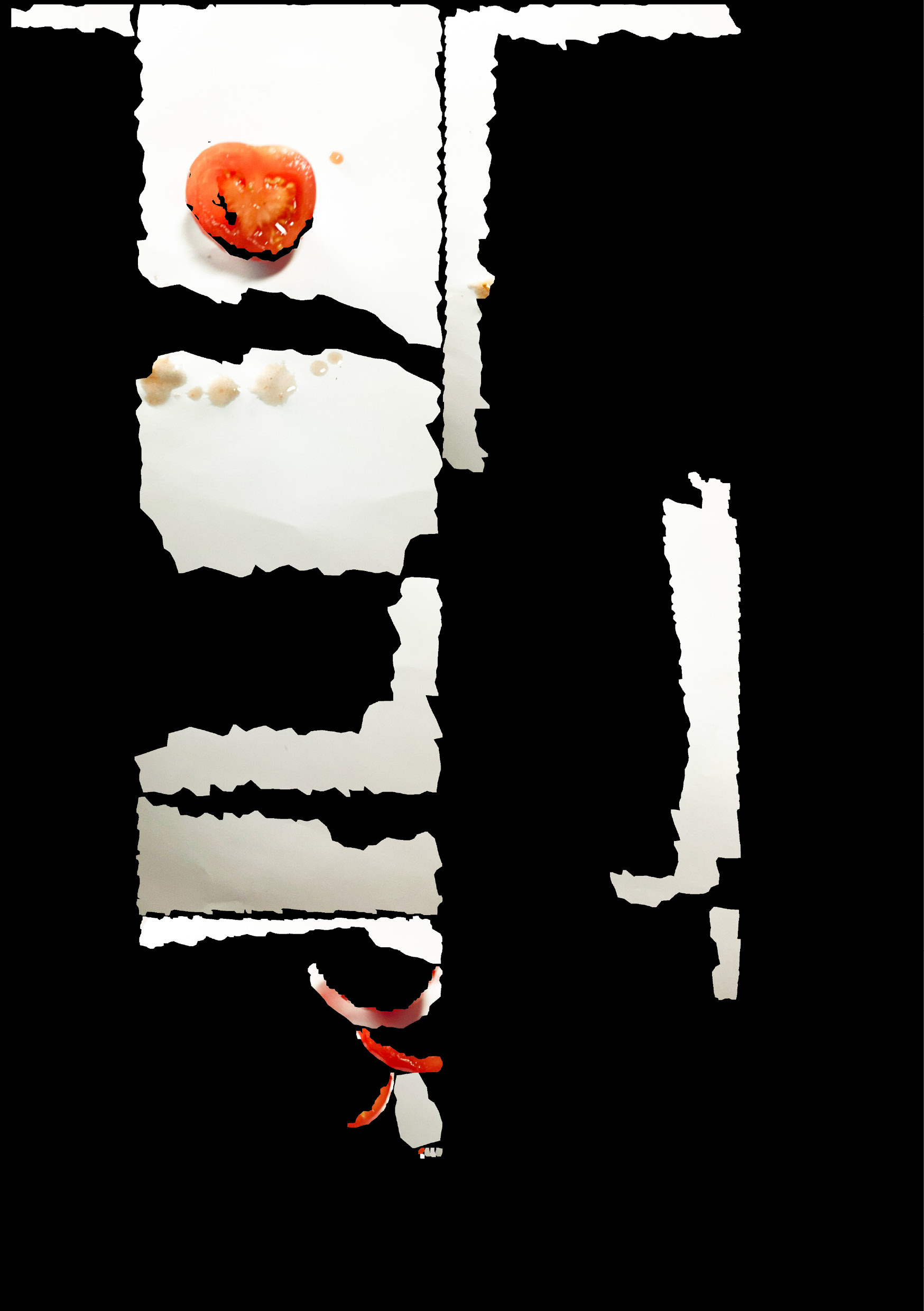 Description of image 2