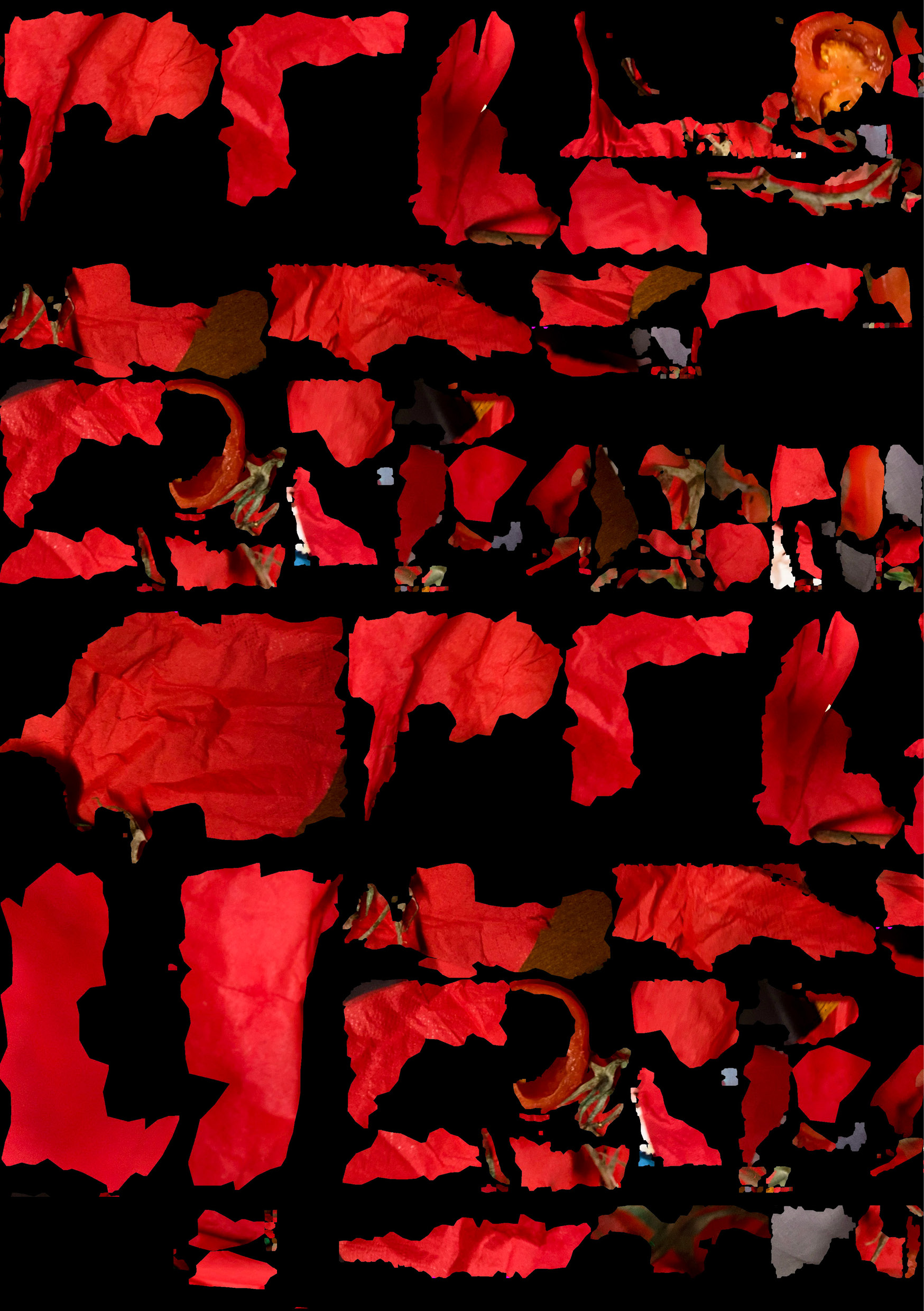 Description of image 2